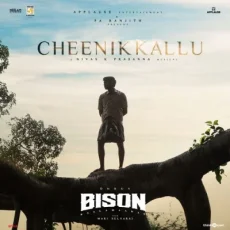 Cheenikkallu