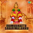 Irumudi Kattu Sabarimalaikku